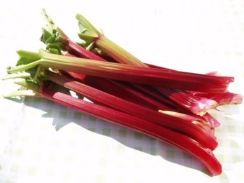 rhubarb.jpg