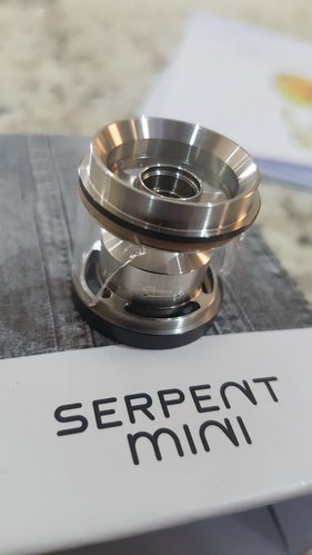 Serpent Mini (2).jpg