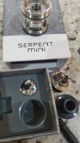 Serpent Mini 1.jpg