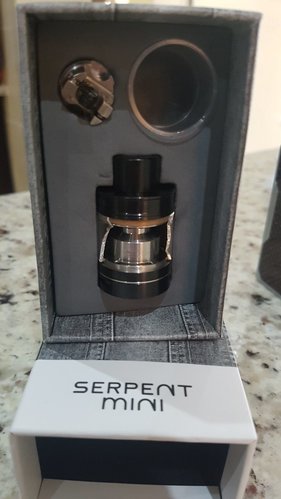 Serpent Mini 2.jpg