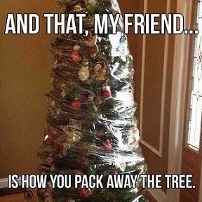 How to pack away the Xmas tree.jpg