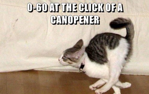 canopener.jpg