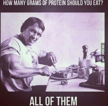 protein.jpg