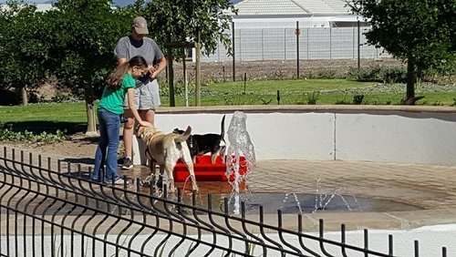 20170419_Leadville Dog Park.jpg