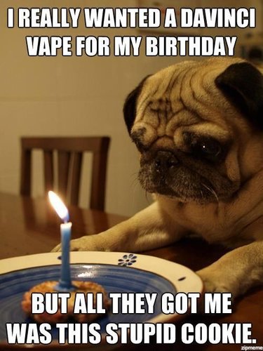 f62fdb22835889b5a2dcf24c782fd9c6--happy-birthday-pug-birthday-wishes.jpg