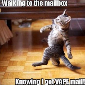 VapeMailCat.jpg