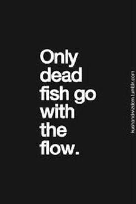 Dead fish go with the flow.jpg