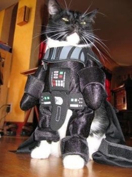 funny-cat-Halloween-Costume-Star-Wars.jpg