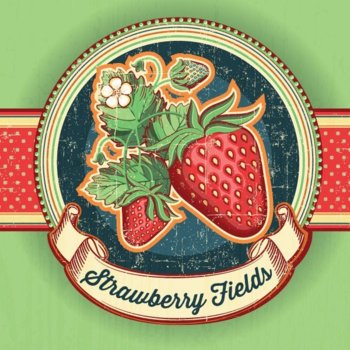 strawberry-600x600.jpg