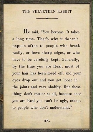 The Velveteen Rabbit.jpg