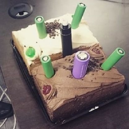 Batteries in cake.jpg