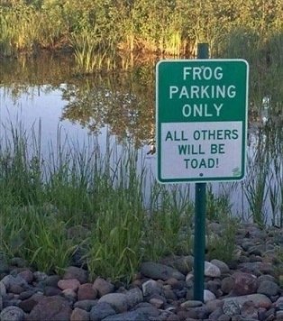 Frog Parking only.jpg