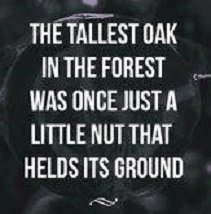 The tallest oak was once just a little nut.jpg