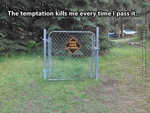 funny-pics-keep-gate-closed.jpg