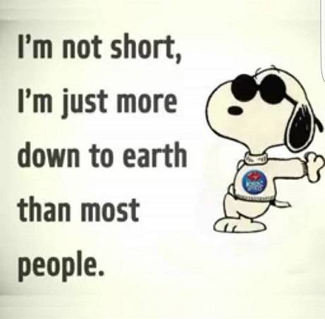 I'm not short - I'm down to earth.jpg