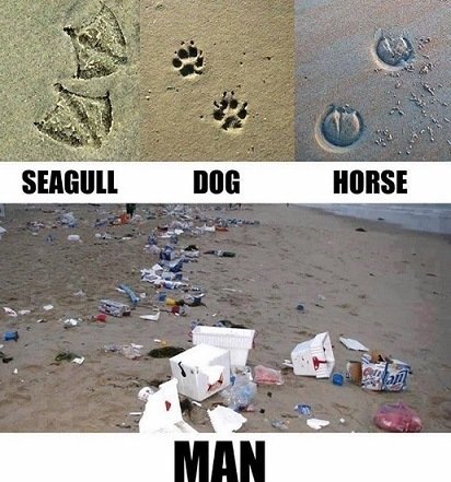 Beach garbage.jpg