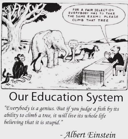 Education system.jpg