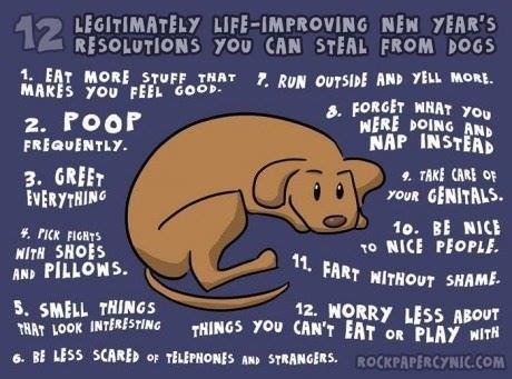 Dog New Year's Resolutions.jpg