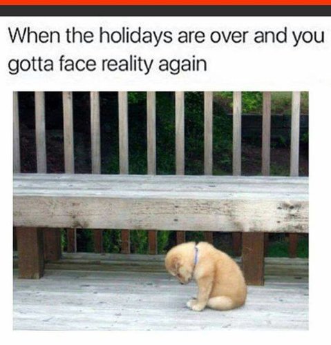 When the holidays are over.jpg