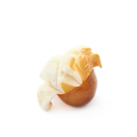 popcorn-kernel-isolated-over-the-white-background.jpg