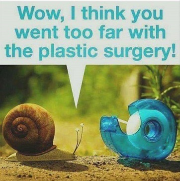 Plastic surgery.jpg