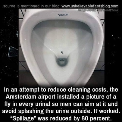 Fly in urinal.jpg