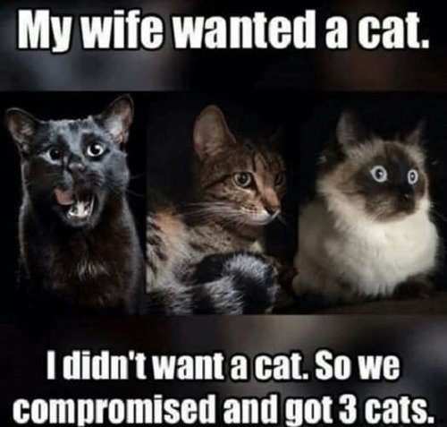 funny-wife-memes-8.jpg