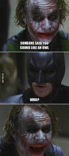 awesome-joker-trolling-batman-lolz-funny-batman-jokes-joker-for-you.jpg