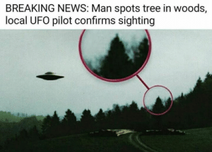 thumb_breaking-news-man-spots-tree-in-woods-local-ufo-pilot-56870624.png