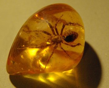 Amber-Stone-3.jpg