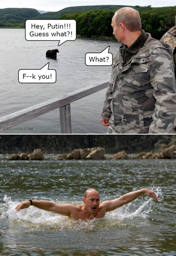 bear-vs-putin.jpg