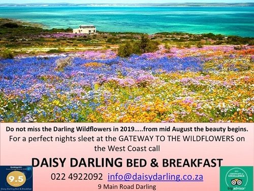 Daisy Darling Bed & Breakfast.jpg