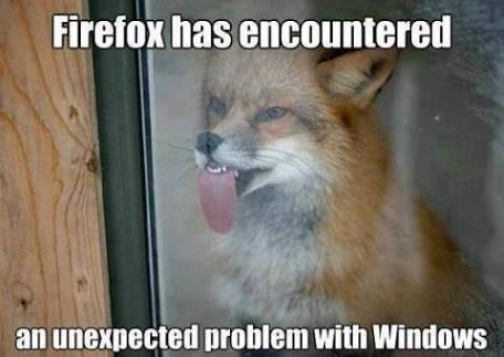 firefox.jpg