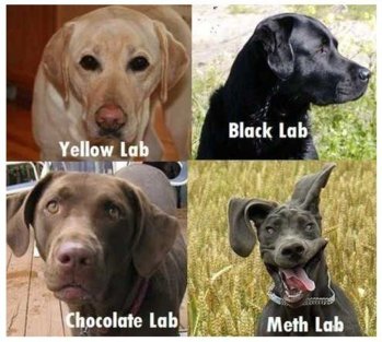 methlab.jpg