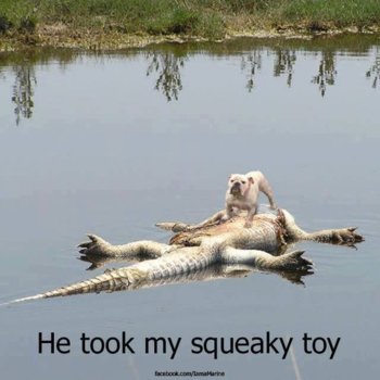 he-took-my-toy.jpg