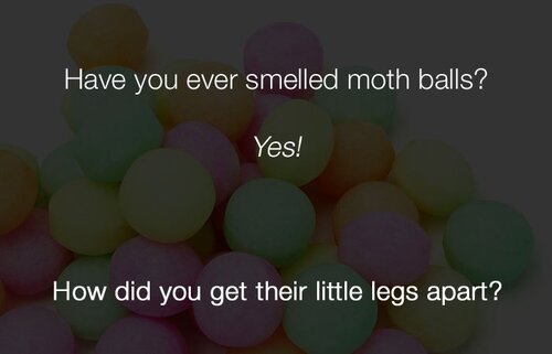 funny-stupid-jokes-have-you-ever-smelled-moth-balls.jpg