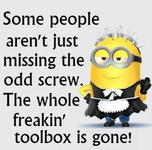 Top-25-Humor-Minions-Jokes-1-Humor-Minions-Humor-500x494.jpg