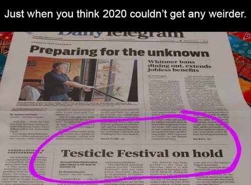 testicle.jpg