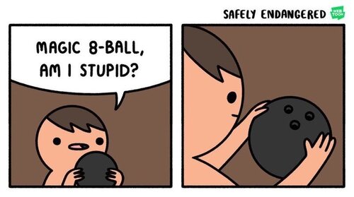 person-safely-endangered-web-toon-magic-8-ball-am-stupid.jpeg.jpg