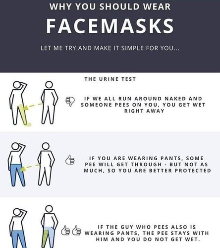 Why wear a mask.jpg