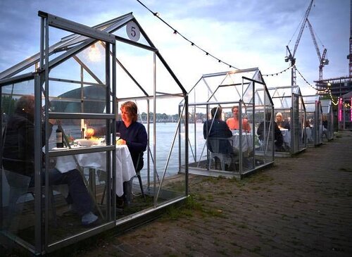 Greenhouse dining Netherlands.jpg