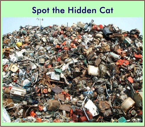 Spot-the-hidden-cat-riddle.jpg