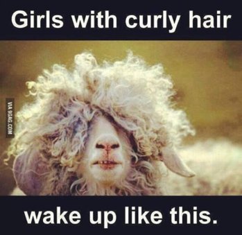 Curly Hair.jpg