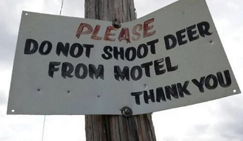 Do not shoot deer.jpg