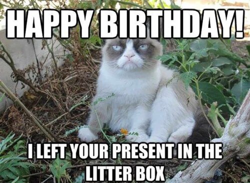 Funny-Birthday-Memes-7.jpg