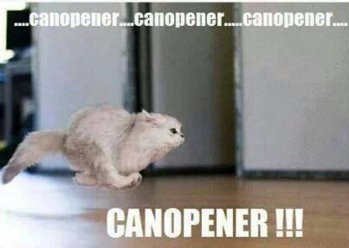 CanOpener.jpg