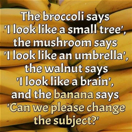 The Brocoli.jpg