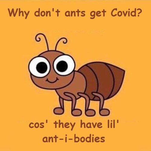 antibodies.jpg