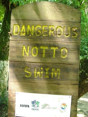 Dangerous not to swim.jpg