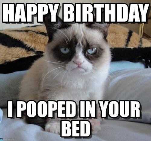 cat-birthday-memes-51-720x671.jpg